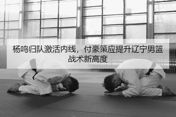 yang-ming-gui-dui-ji-huo-nei-xian-fu-hao-ce-ying-ti-sheng-liao-ning-nan-lan-zhan-shu-xin-gao-du-2-718.jpg